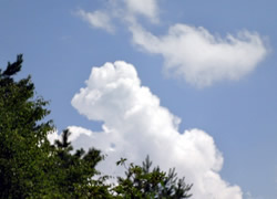 フォークソング満月堂さん