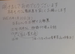 20130120