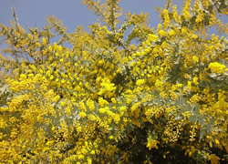 20130317