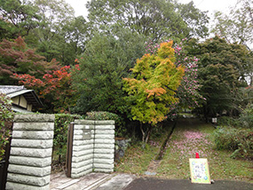 頼政道