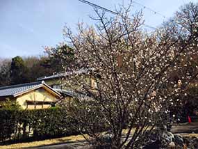 頼政道
